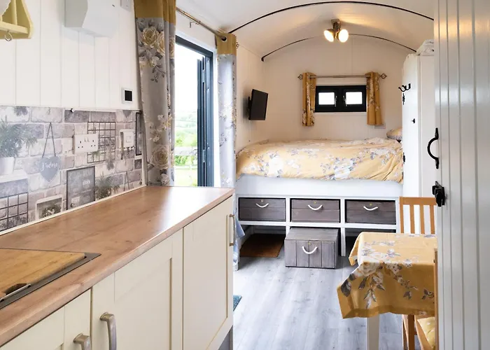 Shepherds Hut With Valley Views