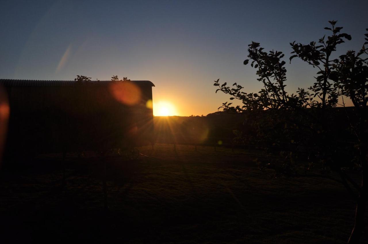 Shepherds Hut With Valley Views Campsite Bodmin