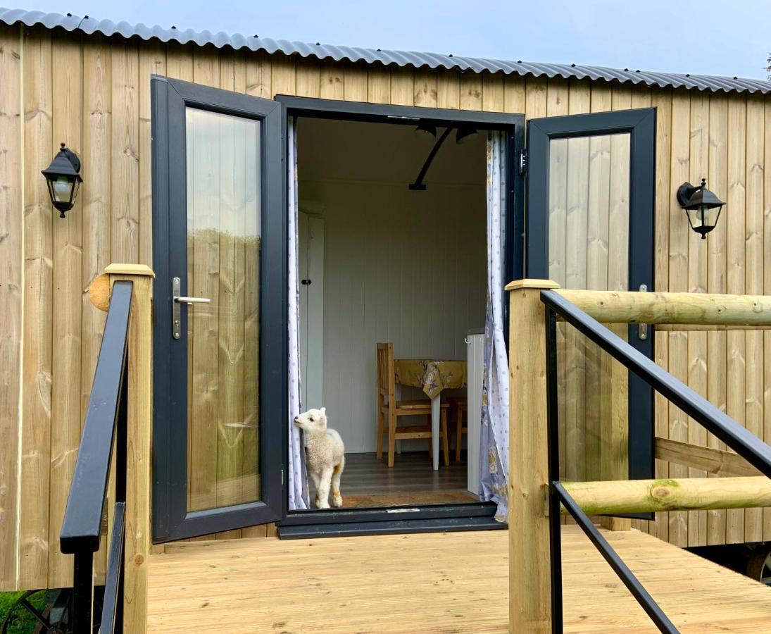 Shepherds Hut With Valley Views Campsite Bodmin