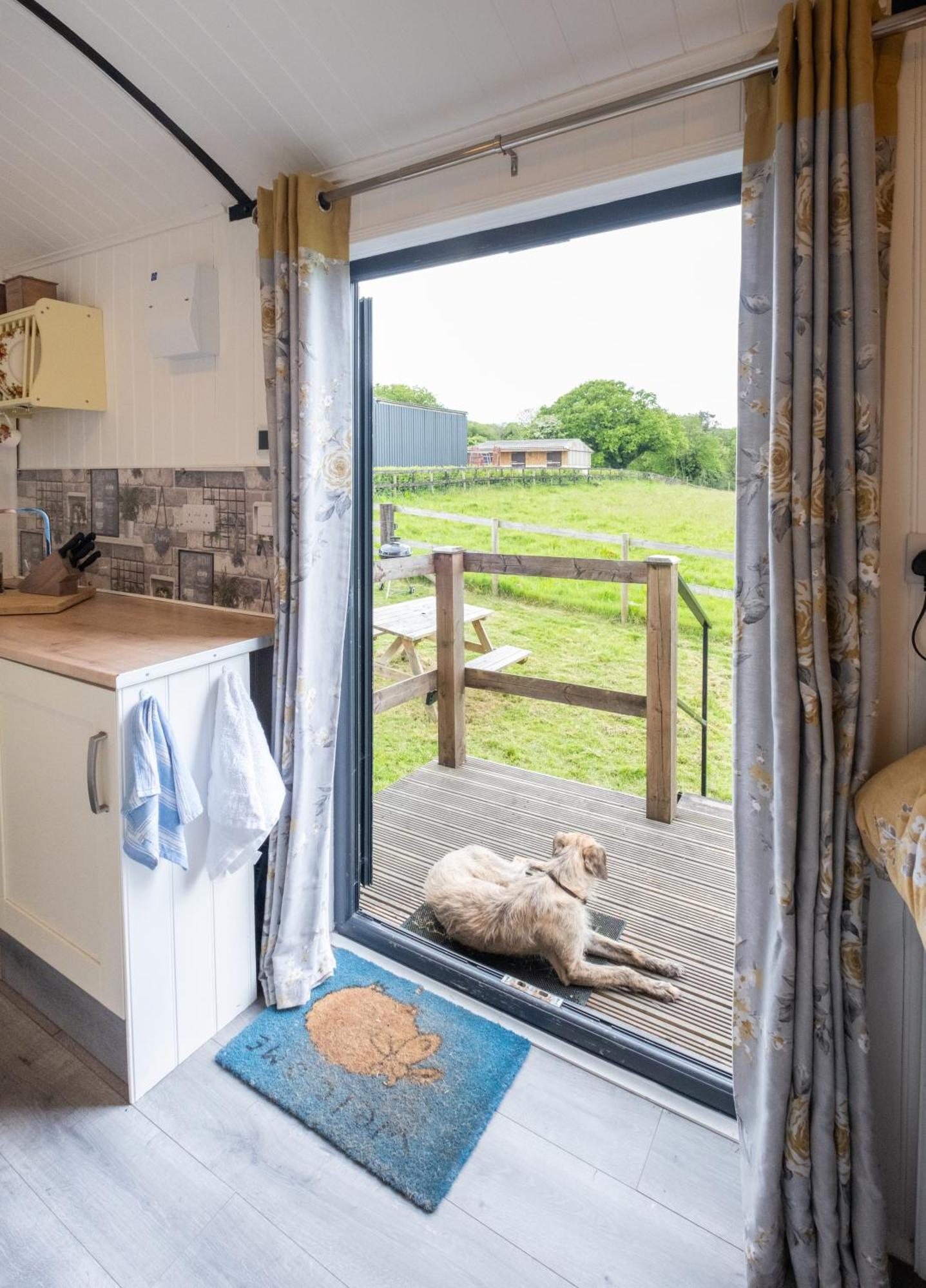 Shepherds Hut With Valley Views